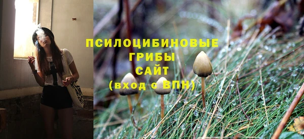 Альфа ПВП Абдулино