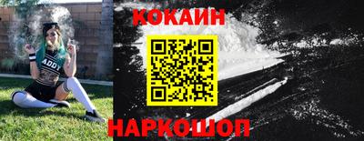 гашик Шелехов
