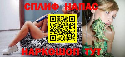 гашик Шелехов