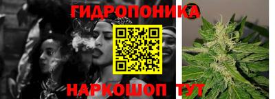 амф Шахты