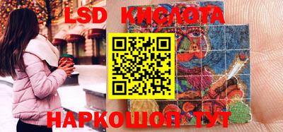 гашик Шелехов
